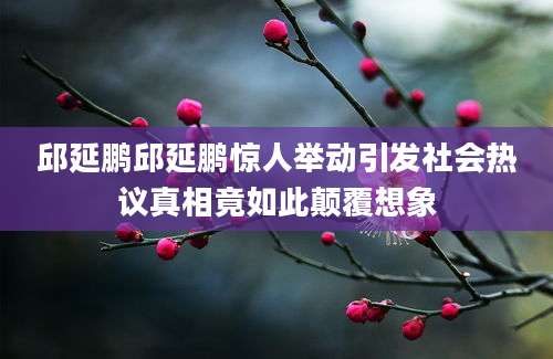 邱延鹏邱延鹏惊人举动引发社会热议真相竟如此颠覆想象