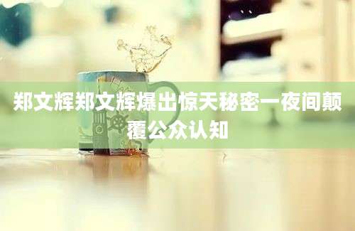 郑文辉郑文辉爆出惊天秘密一夜间颠覆公众认知
