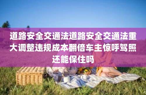 道路安全交通法道路安全交通法重大调整违规成本翻倍车主惊呼驾照还能保住吗