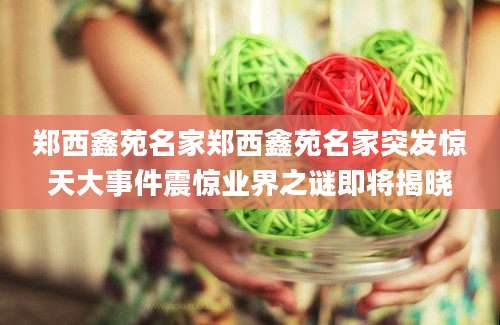 郑西鑫苑名家郑西鑫苑名家突发惊天大事件震惊业界之谜即将揭晓