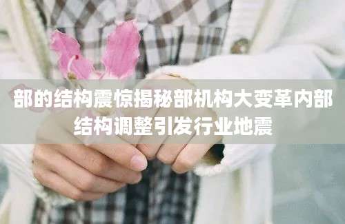 部的结构震惊揭秘部机构大变革内部结构调整引发行业地震