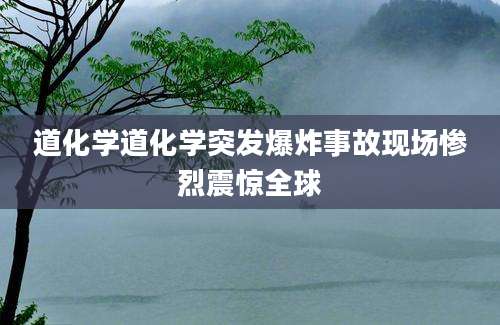 道化学道化学突发爆炸事故现场惨烈震惊全球
