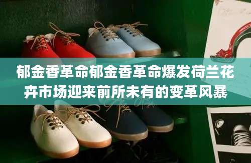 郁金香革命郁金香革命爆发荷兰花卉市场迎来前所未有的变革风暴