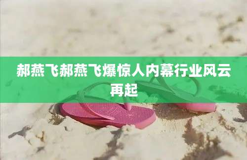 郝燕飞郝燕飞爆惊人内幕行业风云再起