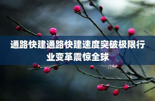 通路快建通路快建速度突破极限行业变革震惊全球