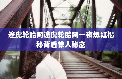 途虎轮胎网途虎轮胎网一夜爆红揭秘背后惊人秘密