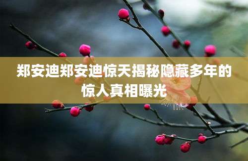 郑安迪郑安迪惊天揭秘隐藏多年的惊人真相曝光