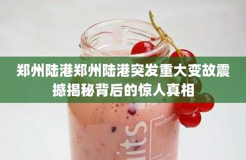 郑州陆港郑州陆港突发重大变故震撼揭秘背后的惊人真相