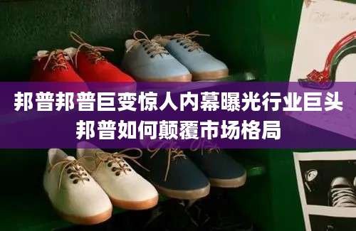 邦普邦普巨变惊人内幕曝光行业巨头邦普如何颠覆市场格局