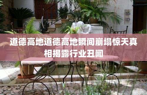 道德高地道德高地瞬间崩塌惊天真相揭露行业丑闻