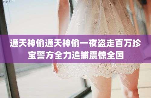 通天神偷通天神偷一夜盗走百万珍宝警方全力追捕震惊全国