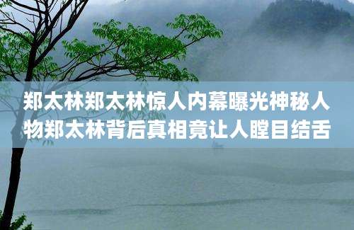 郑太林郑太林惊人内幕曝光神秘人物郑太林背后真相竟让人瞠目结舌