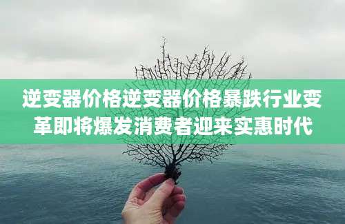 逆变器价格逆变器价格暴跌行业变革即将爆发消费者迎来实惠时代