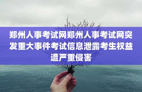 郑州人事考试网郑州人事考试网突发重大事件考试信息泄露考生权益遭严重侵害