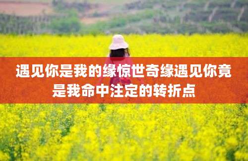 遇见你是我的缘惊世奇缘遇见你竟是我命中注定的转折点
