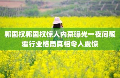 郭国权郭国权惊人内幕曝光一夜间颠覆行业格局真相令人震惊