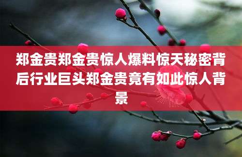 郑金贵郑金贵惊人爆料惊天秘密背后行业巨头郑金贵竟有如此惊人背景