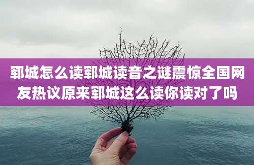郓城怎么读郓城读音之谜震惊全国网友热议原来郓城这么读你读对了吗