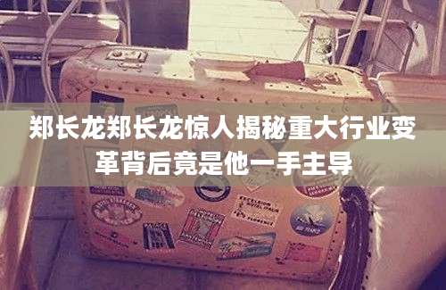 郑长龙郑长龙惊人揭秘重大行业变革背后竟是他一手主导