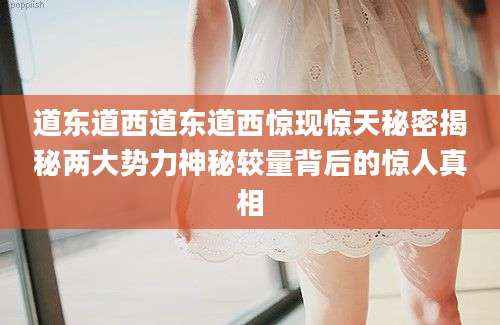 道东道西道东道西惊现惊天秘密揭秘两大势力神秘较量背后的惊人真相