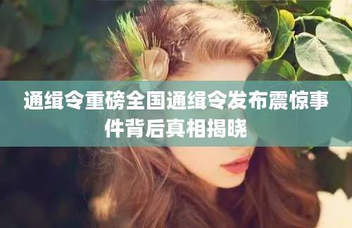 通缉令重磅全国通缉令发布震惊事件背后真相揭晓