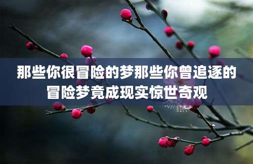 那些你很冒险的梦那些你曾追逐的冒险梦竟成现实惊世奇观