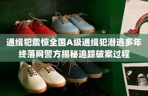 通缉犯震惊全国A级通缉犯潜逃多年终落网警方揭秘追踪破案过程