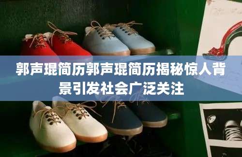 郭声琨简历郭声琨简历揭秘惊人背景引发社会广泛关注