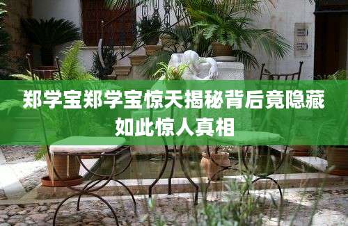 郑学宝郑学宝惊天揭秘背后竟隐藏如此惊人真相