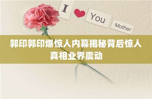 郭印郭印爆惊人内幕揭秘背后惊人真相业界震动