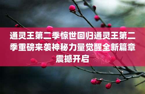 通灵王第二季惊世回归通灵王第二季重磅来袭神秘力量觉醒全新篇章震撼开启