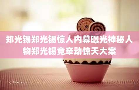 郑光锡郑光锡惊人内幕曝光神秘人物郑光锡竟牵动惊天大案