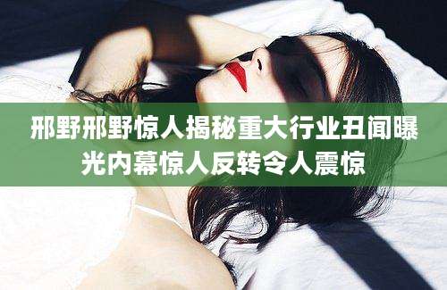 邢野邢野惊人揭秘重大行业丑闻曝光内幕惊人反转令人震惊