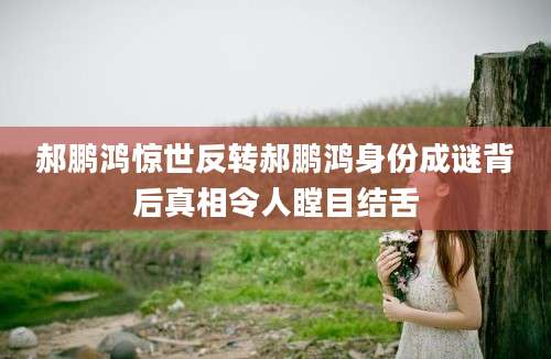 郝鹏鸿惊世反转郝鹏鸿身份成谜背后真相令人瞠目结舌