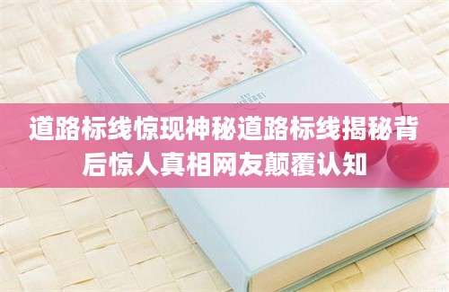 道路标线惊现神秘道路标线揭秘背后惊人真相网友颠覆认知