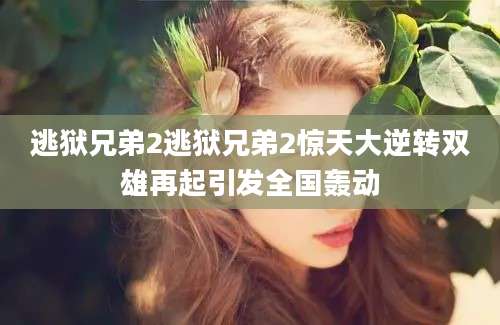 逃狱兄弟2逃狱兄弟2惊天大逆转双雄再起引发全国轰动