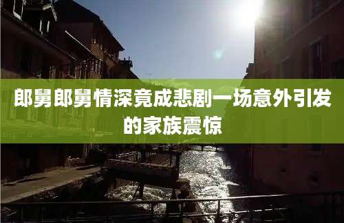郎舅郎舅情深竟成悲剧一场意外引发的家族震惊