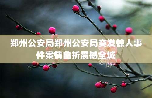 郑州公安局郑州公安局突发惊人事件案情曲折震撼全城