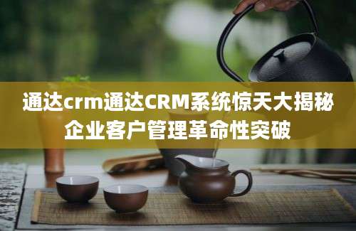 通达crm通达CRM系统惊天大揭秘企业客户管理革命性突破