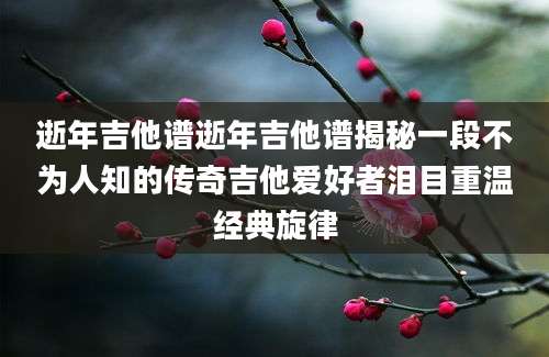 逝年吉他谱逝年吉他谱揭秘一段不为人知的传奇吉他爱好者泪目重温经典旋律