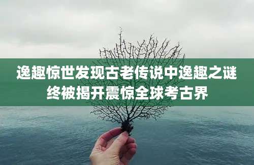 逸趣惊世发现古老传说中逸趣之谜终被揭开震惊全球考古界