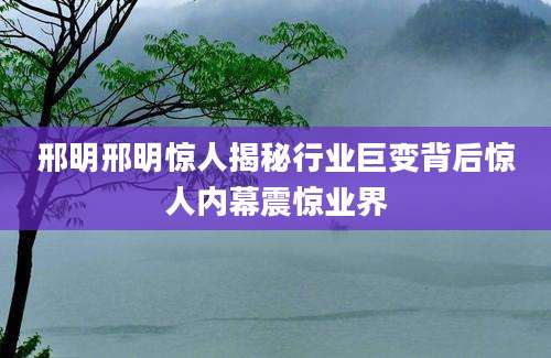 邢明邢明惊人揭秘行业巨变背后惊人内幕震惊业界