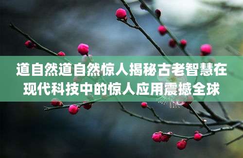 道自然道自然惊人揭秘古老智慧在现代科技中的惊人应用震撼全球