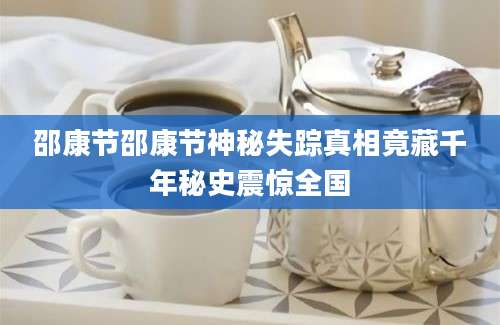 邵康节邵康节神秘失踪真相竟藏千年秘史震惊全国