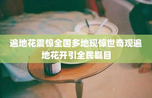 遍地花震惊全国多地现惊世奇观遍地花开引全民瞩目