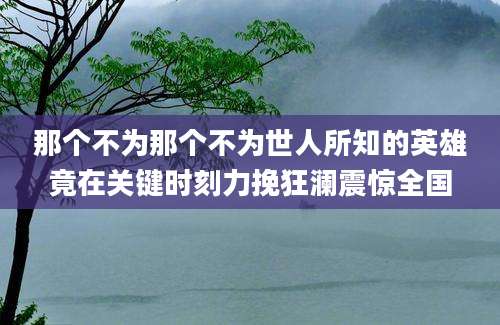 那个不为那个不为世人所知的英雄竟在关键时刻力挽狂澜震惊全国