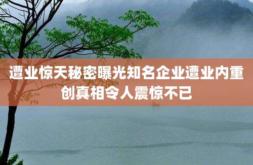 遭业惊天秘密曝光知名企业遭业内重创真相令人震惊不已