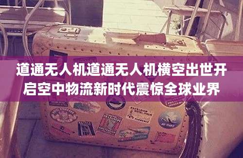 道通无人机道通无人机横空出世开启空中物流新时代震惊全球业界
