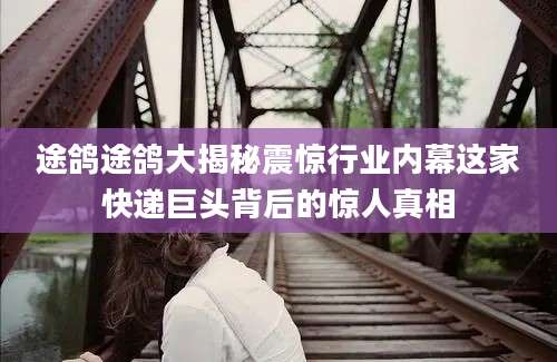 途鸽途鸽大揭秘震惊行业内幕这家快递巨头背后的惊人真相
