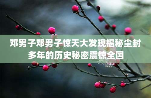 邓男子邓男子惊天大发现揭秘尘封多年的历史秘密震惊全国